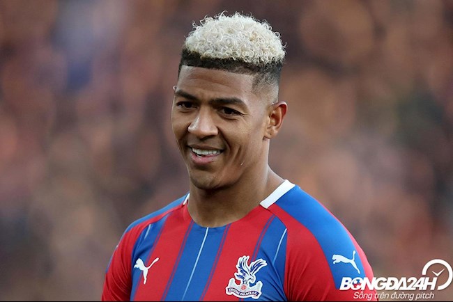 Tiểu sử cầu thủ Patrick van Aanholt hậu vệ Crystal Palace hình ảnh