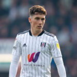 Thông tin tiểu sử tiền vệ Harry Wilson của Fulham