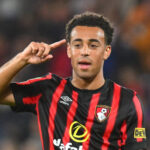Tiểu sử cầu thủ Tyler Adams